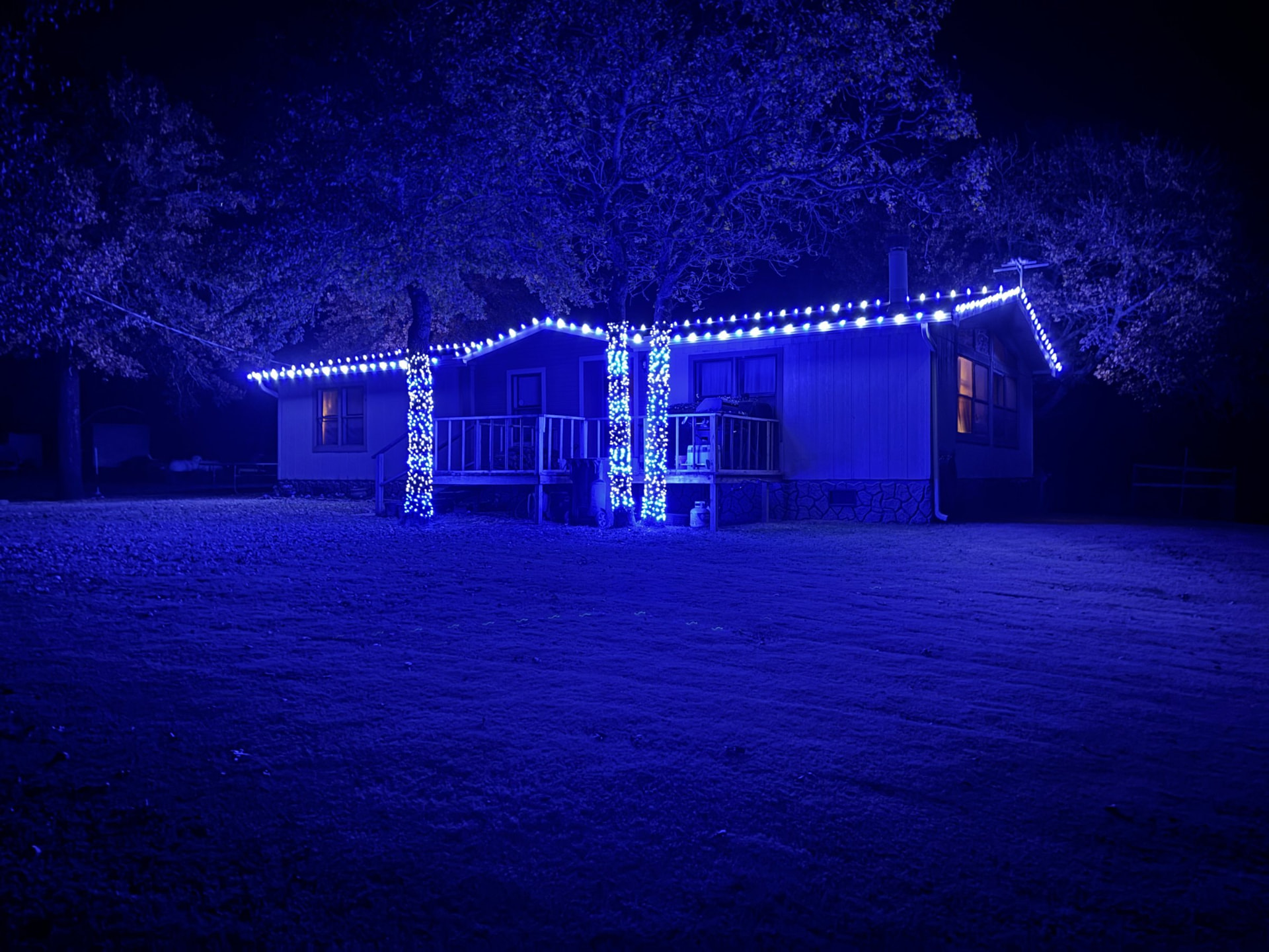 Blue Christmas lights on a roofline with tree trunks wrapped all the way up