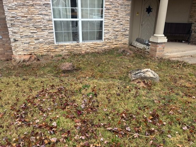 Front bed overgrown with weeds and leaves