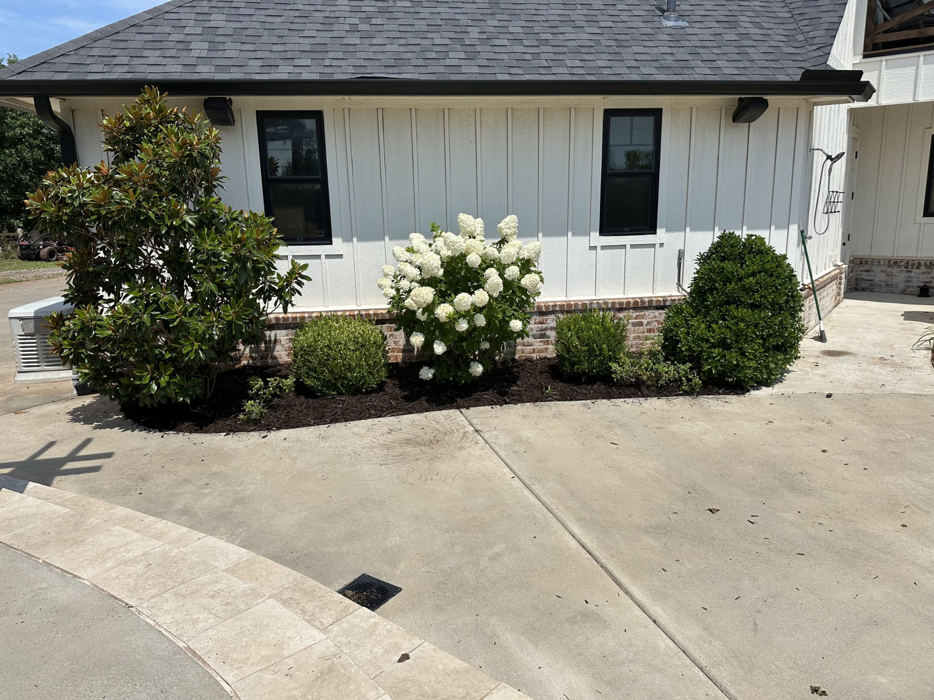 Front flower beds with hydrangeas