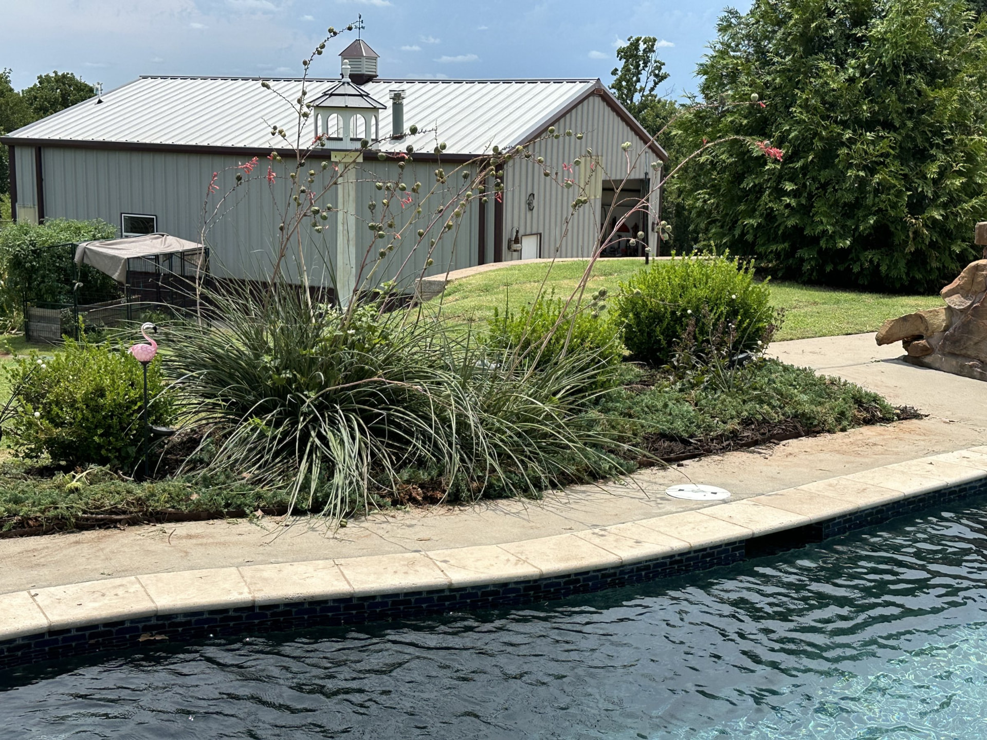 Poolside planting beds in the OKC metro