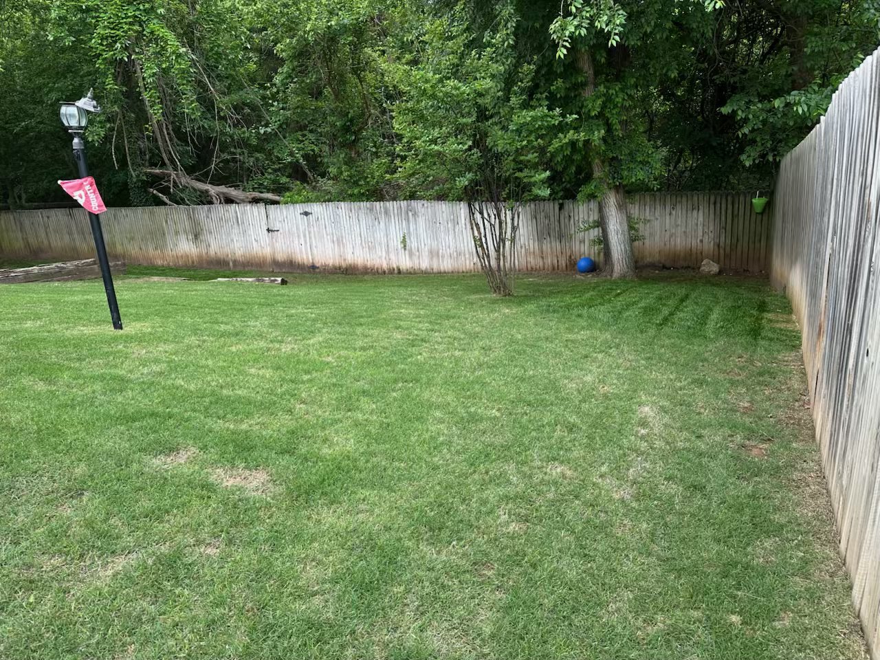 Mowed backyard along a wood fence in the OKC metro
