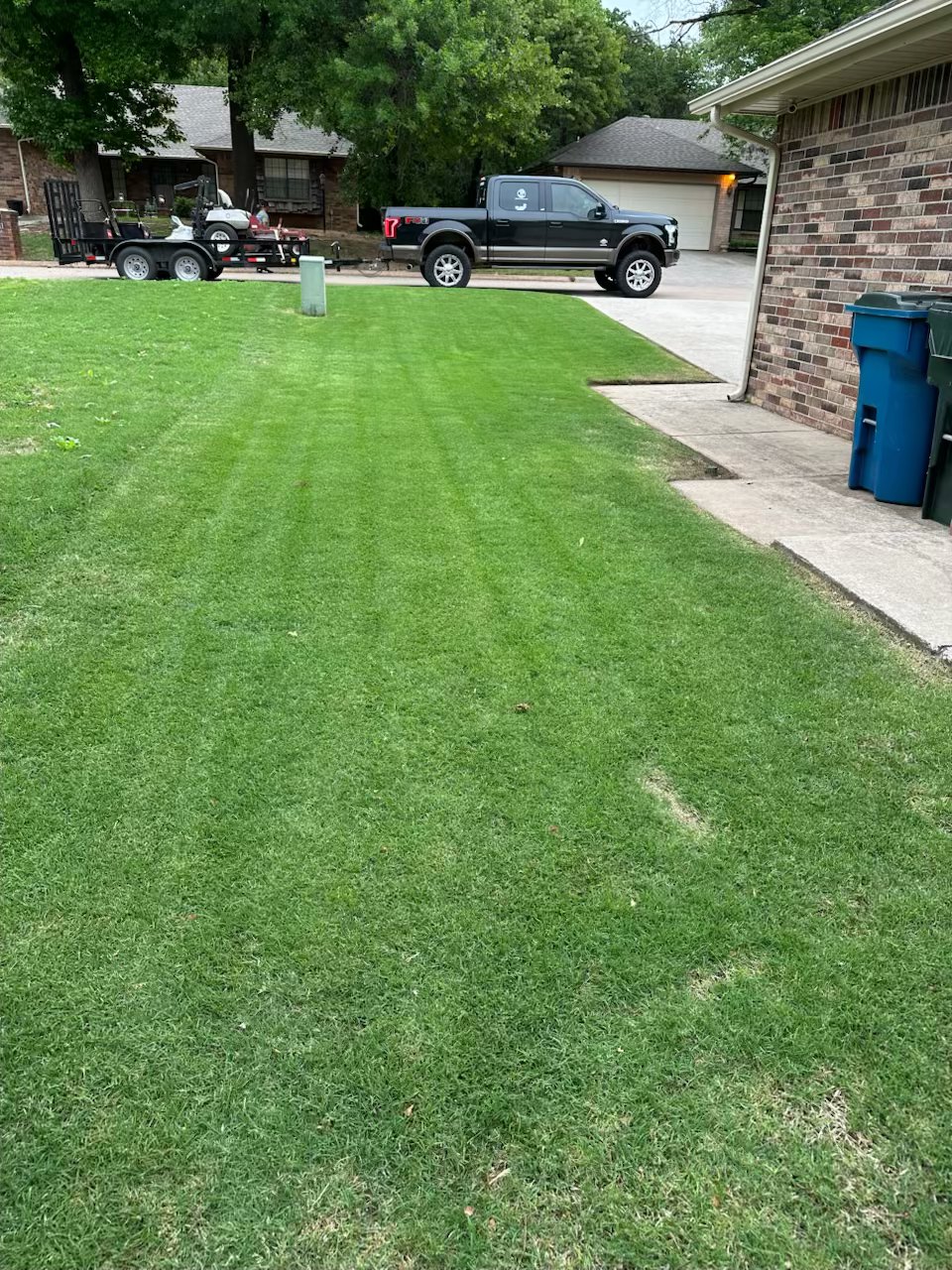 Freshly striped mowed lawn
